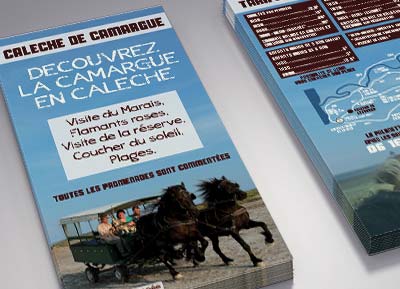 Calèche en Camargue